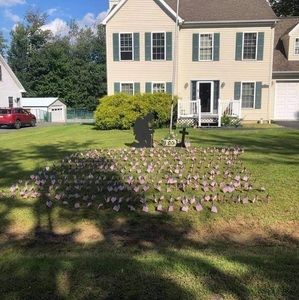 Meet your Posher, Debbie